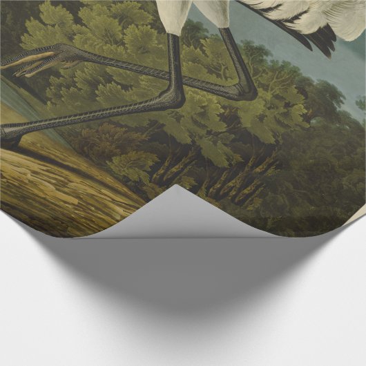Papier Cadeau Grue blanche Audubon Peinture d'oiseaux (Coin)