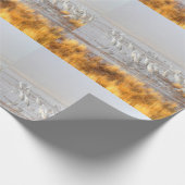 Papier Cadeau Grues de Sandhill (Coin)