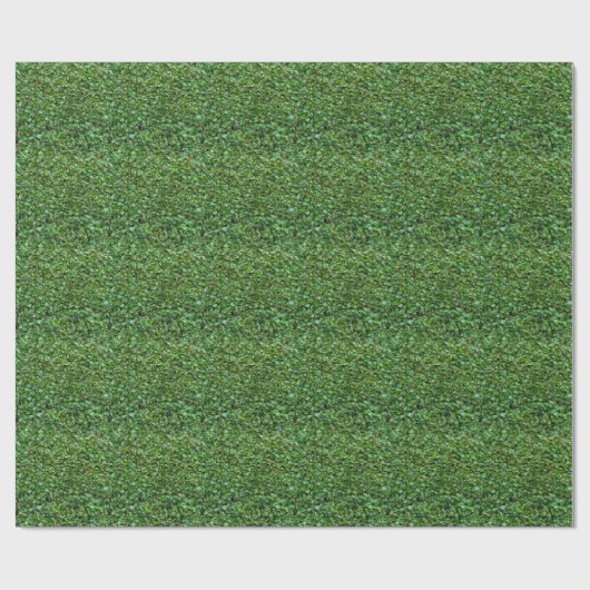 Papier Cadeau Haie verte de troène (Plat)