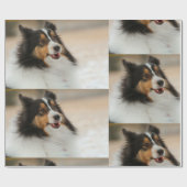 Papier Cadeau Happy Shelty (Plat)