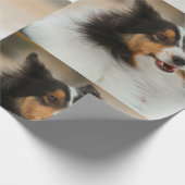 Papier Cadeau Happy Shelty (Coin)