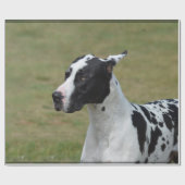 Papier Cadeau Harlequin great dane (Plat)