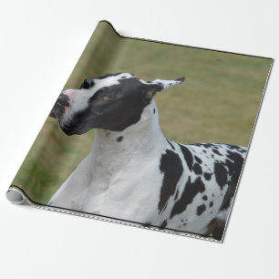 Papier Cadeau Harlequin great dane