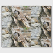 Papier Cadeau Harry Otter (Plat)