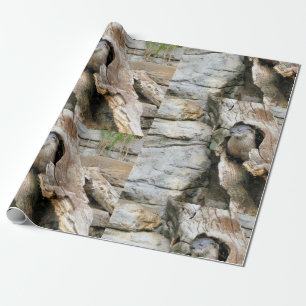 Papier Cadeau Harry Otter