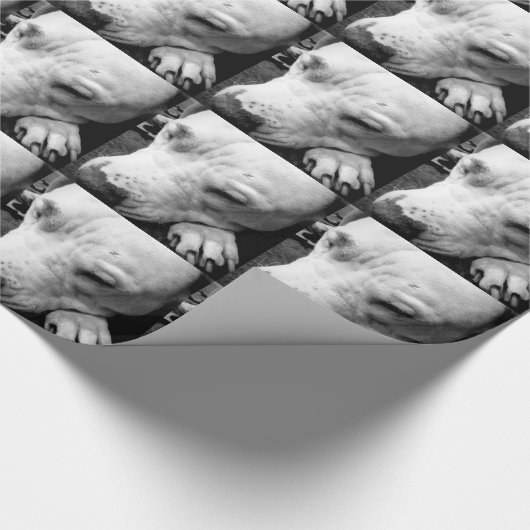 Papier Cadeau harry potier cicatrice chien blanc pit bull (Coin)