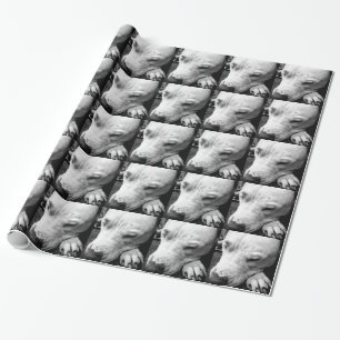 Papier Cadeau harry potier cicatrice chien blanc pit bull
