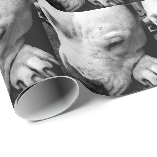 Papier Cadeau harry potier cicatrice chien blanc pit bull (Coin rond)