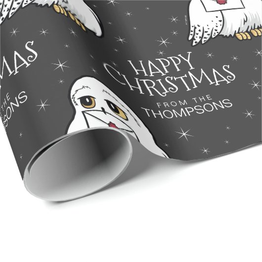 Papier Cadeau Harry Potter | Hedwig - Joyeux Noël (Coin rond)