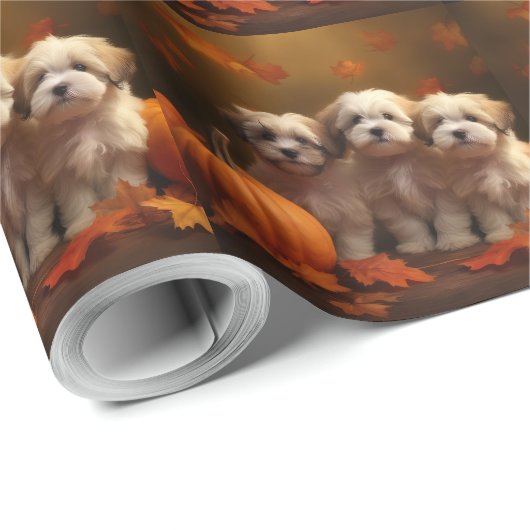 Papier Cadeau Havanais chiot automne ravi Citrouille (Coin rond)