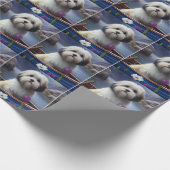 Papier Cadeau Havanais en pagaie : une aventure Pittoresque (Coin)