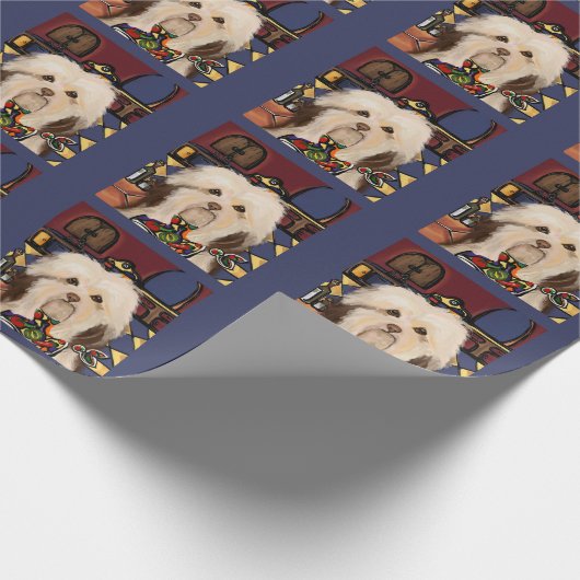 PAPIER CADEAU HAVANESE (Coin)