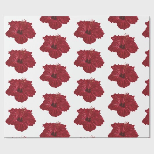 Papier Cadeau Hawaii (Plat)