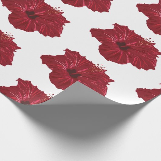 Papier Cadeau Hawaii (Coin)