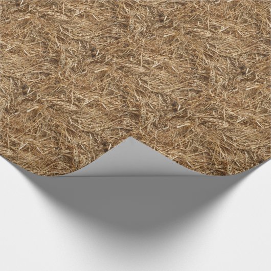 Papier Cadeau Hay (Coin)