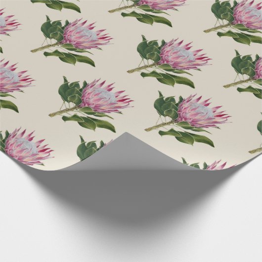 Papier Cadeau Heart of Gondwana, sandstone Wrapping Paper Design (Coin)