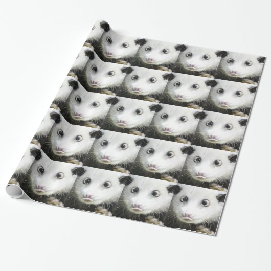 Papier Cadeau Heidi L'Opossum Osé À Croix (Déroulé)