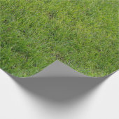 Papier Cadeau Herbe, (Coin)