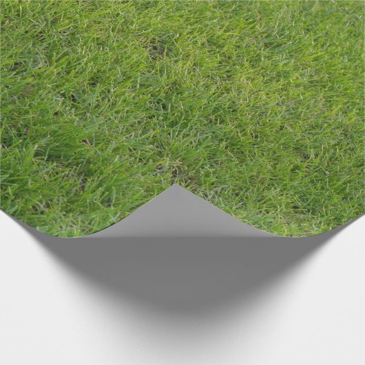 Papier Cadeau Herbe, (Coin)