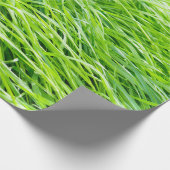 Papier Cadeau Herbe (Coin)