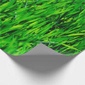 Papier Cadeau Herbe champ prairie croissance de pelouse (Coin)