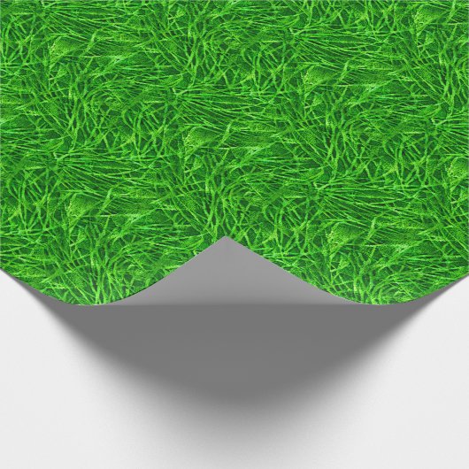 Papier Cadeau Herbe Mossy (Coin)