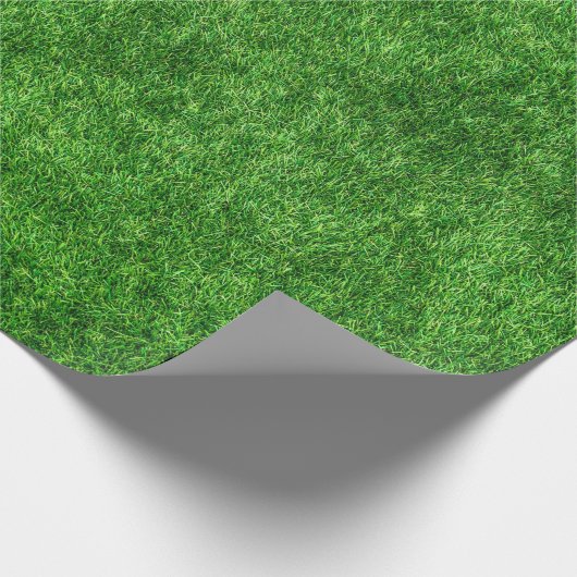 Papier Cadeau Herbe verte (Coin)