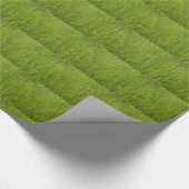 Papier Cadeau Herbe verte (Coin)
