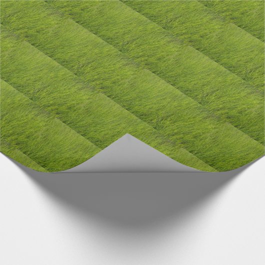 Papier Cadeau Herbe verte (Coin)
