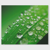 Papier Cadeau Herbe verte à feuilles d'eau (Plat)