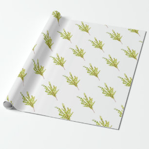 Papier Cadeau Herbes de thym Aquarelle de plante botanique pour