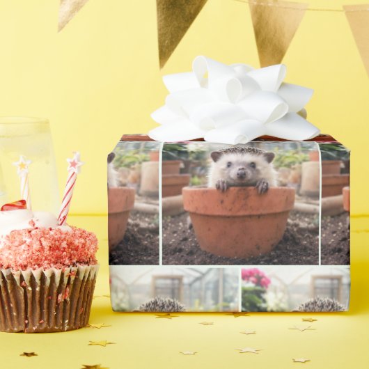 Papier Cadeau Hérisson dans un pot de fleurs en argile (Fête d'anniversaire)
