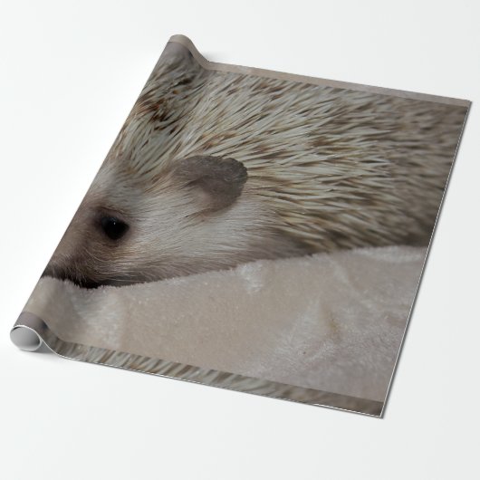 Papier Cadeau Hérisson de sourire (Déroulé)