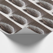Papier Cadeau hérisson gris de bébé (Coin)