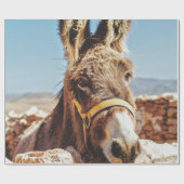 PAPIER CADEAU HI DONKEY (Plat)