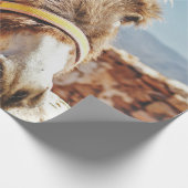 PAPIER CADEAU HI DONKEY (Coin)
