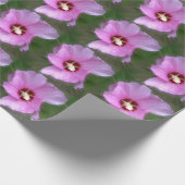 Papier Cadeau Hibiscus rose, Art numérique (Coin)