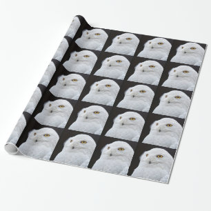 Papier Cadeau Hibou blanc