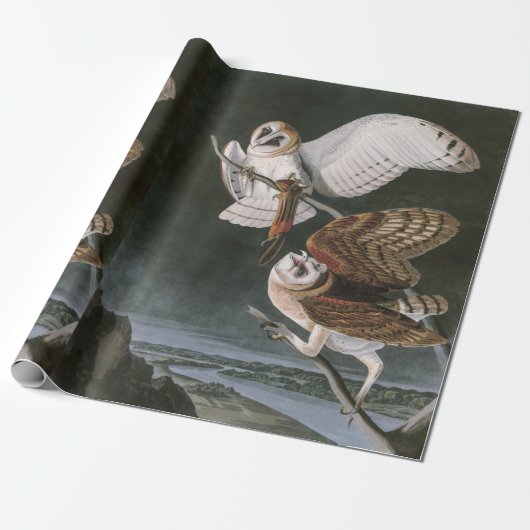 Papier Cadeau Hiboux de grange, les oiseaux de l'Amérique John (Déroulé)