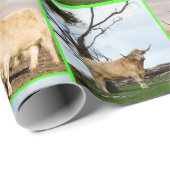 Papier Cadeau Highland Cow Trois photos, (Coin rond)
