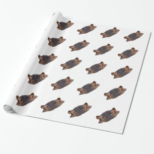 Papier Cadeau Hippopotame