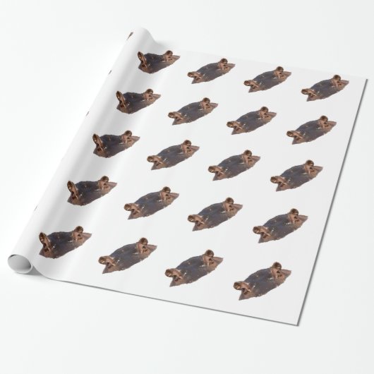 Papier Cadeau Hippopotame (Déroulé)
