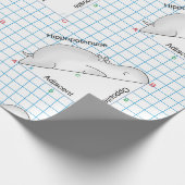 Papier Cadeau HIPPOPOTENUSE par Sandra Boynton (Coin)