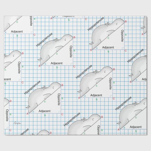 Papier Cadeau HIPPOPOTENUSE par Sandra Boynton (Couture)