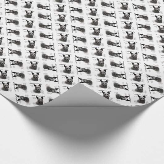 Papier Cadeau Histoire du chien de bétail bleu australien (Coin)