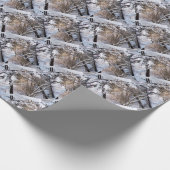 Papier Cadeau Hiver (Coin)