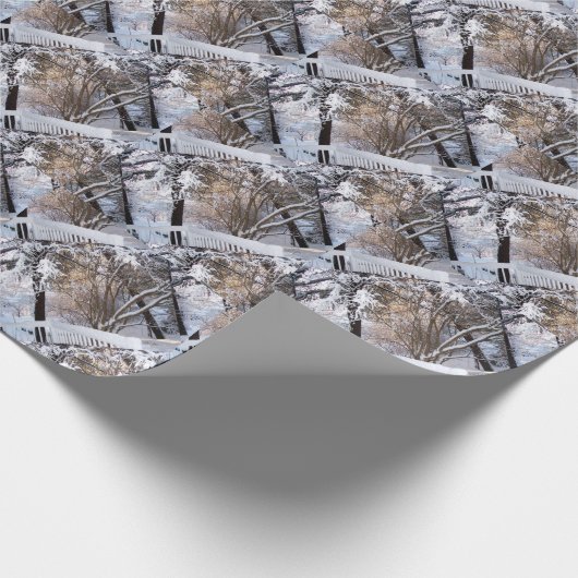 Papier Cadeau Hiver (Coin)