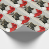 Papier Cadeau Holley's Santa Hat - Chat / Kitten Christmas (Coin)