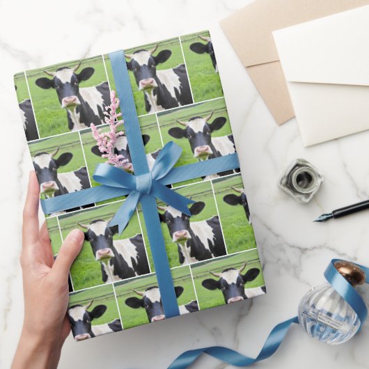 Papier Cadeau Holstein Bull Dans Green Pasture (Cadeaux)