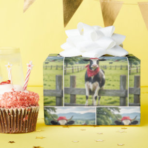 Papier Cadeau Holstein sur une clôture de ferme